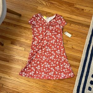 Social academy pelia cinched brushed dress peach, 16